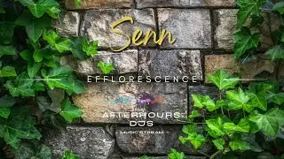 Senn - Efflorescence (#ambient)