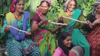 Sericulture Appropriate Technology India (AT India) &ndash; Silk Cultivation Empowering Uttarakhand