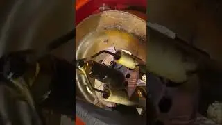 How clean can you get your nozzle assembly #hvac #oil #heat #boiler #clean #flashy