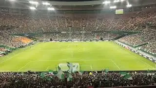 Afición bética cantando en La Cartuja 