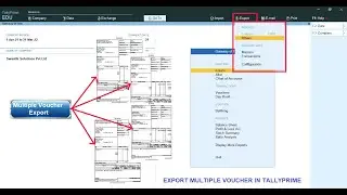 Multi Voucher Export : TallyPrime Add-on module