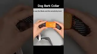 Smart Bark Collar for All Dogs &ndash; Waterproof & Rechargeable
