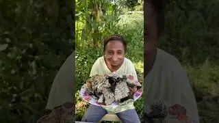 Super Crispy Fried Seaweed Chips eating by #villagee |#originalsound #viralvideo #satisfying #fyp