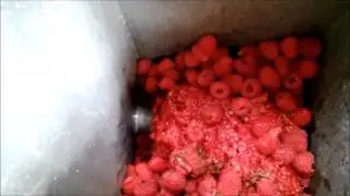 Pressing Raspberries in a CP-4 Screw Press
