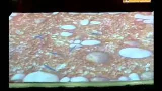 RESPONSE FLOOR FISH & WATER @ LIVE EVENTS
