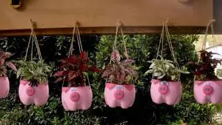 Como fazer horta com garrafa pet - Ideias Criativas - 2&ordf; Temporada - EP 9 - Pet bottle garden