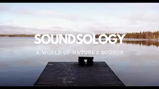 4 Hours of Lakeside Sounds with Calm Sunrise- Relaxing Sound for Sleep, Study,White Noise,Meditation