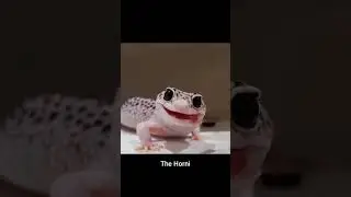 Laugh Out Loud #music #cute #funny