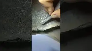 Fossil Preparation | Devonian Jawless Fish (400 million years old)