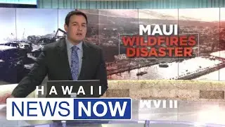 Neighbors in gated community sue property owner over plan to house wildfire survivors