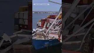 Baltimore Bridge Collapse Cargo Ship Collision - New videos surfacing #news #heartbreaking