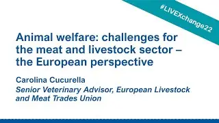Challenges for the meat and livestock sector - the European perspective (LIVEXchange 2022)