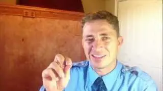 St. George Utah Termite Control - Ant vs.Termite