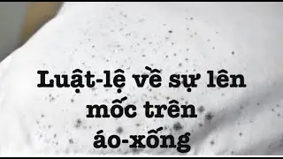 L&ecirc;-vi k&yacute; 13:47-59 (Hội Th&aacute;nh B&aacute;p-t&iacute;t Hiệp Nhất)