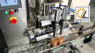 MTW   peanut butter with particles filling machine