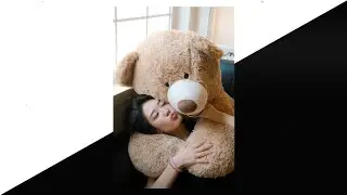 Happy Teddy Day Status | Teddy Day Status | 10th February Status | Teddy Day WhatsApp Status