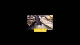 Смешные падения тик ток! funny fall tik tok !
