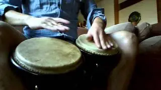 Bongo sin sentimientos