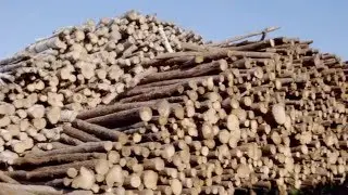 Pfleiderer - Produktion: Nachhaltigkeit