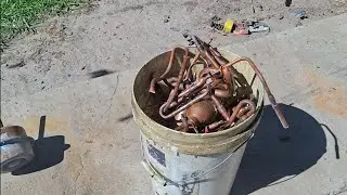 День разборок с мистером и миссис 365.