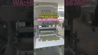 grass cookies making machine #foodmachine #petfood  #petfoodmachine  #grasscookies