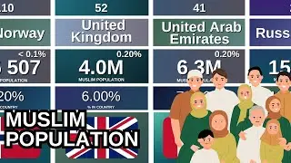 Muslim Population by Country | Percentage & Total 🕌🌎