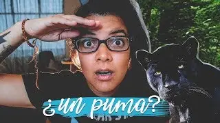 Encontré un PUMA en COSTA RICA | VLOG | EVELIN RAYOS