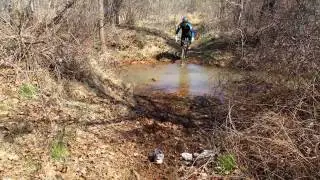 Stream crossing in Biscuit Run Park