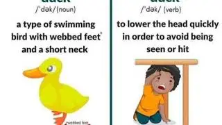 ENGLISH -  MULTIPLE MEANING WORDS