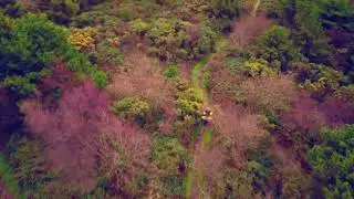 Forth Mountain quarry . Wexford.