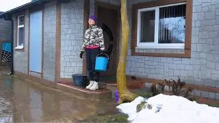 From Rain-Soaked Firewood to a Warm Meat Dinner | Winter Rural Life Alone