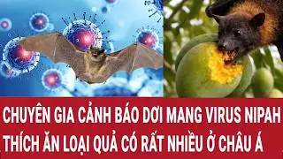 40-75% of patients infected with the Nipah virus die - Ministry of Health issues urgent directive...