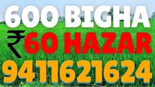 600 Bigha jamin bikau 60 Hazar / Bigha 