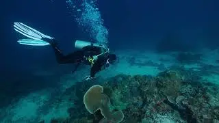 2024.01.31 DIVESTORY DIVE LOG