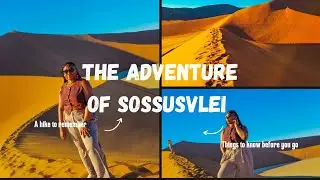 The Adventure of Sossusvlei | Things to know before you go | Sand dune hike tips | Big daddy dune