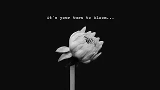 it's your turn to bloom [playlist] [focus music]