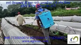 Low Tunnel Plastic Film (Anti Drip Film)