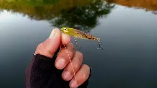 Imposs&iacute;vel n&atilde;o pega muito peixe em pouco tempo com essa micro isca ultralight,pescaria