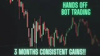 3 Months of Consistent Gains with a Liquidation Bot