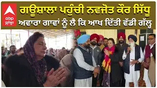 Navjot Sidhu | ਗਊਸ਼ਾਲਾ ਪਹੁੰਚੀ ਨਵਜੋਤ ਕੌਰ ਸਿੱਧੂ, ਅਵਾਰਾ ਗਾਵਾਂ ਨੂੰ ਲੈ ਕਿ ਆਖ ਦਿੱਤੀ ਵੱਡੀ ਗੱਲ | ABP Sanjha