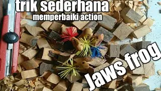 cara memperbaiki action Jaws frog
