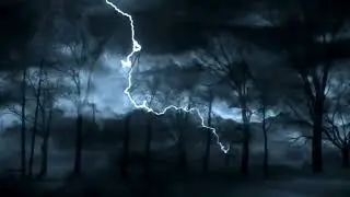 Wilderness of Pain