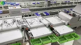 blueberry sorter; blueberry grading machine; blueberry sorting machine