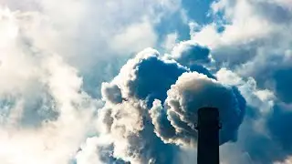Government needs a 'roadmap' to achieve net zero