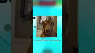 voc&ecirc; tem um amigo assim? ent&atilde;o mande esse v&iacute;deo para ele