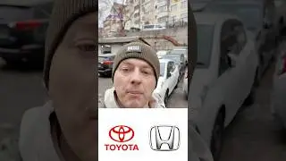Что можно привезти из Японии за 800к? Обзор Toyota Vitz и Honda Fit
