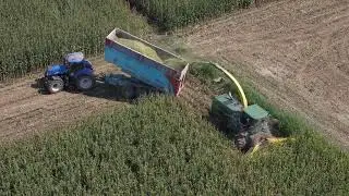 Silage 2019
