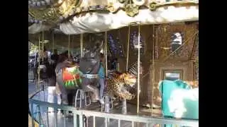 Watching Oakland Zoo Carousel ride
