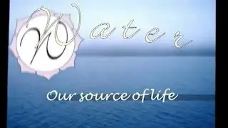 Water Conservation Sonic Brand