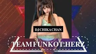 LAGU VIRAL TIKTOK [TEAM FUNKOT.HERZ] DJ CHIKA CHAN 